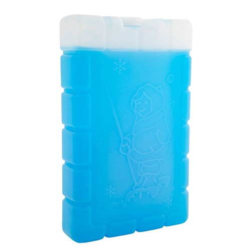 Coleman Large Ice Brick