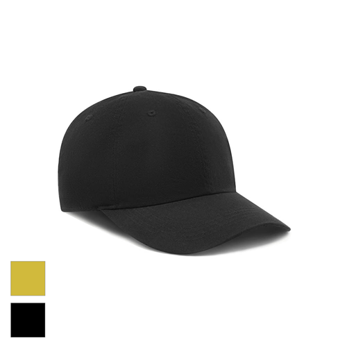 Sa1nt Works Washed Twill Wing Cap