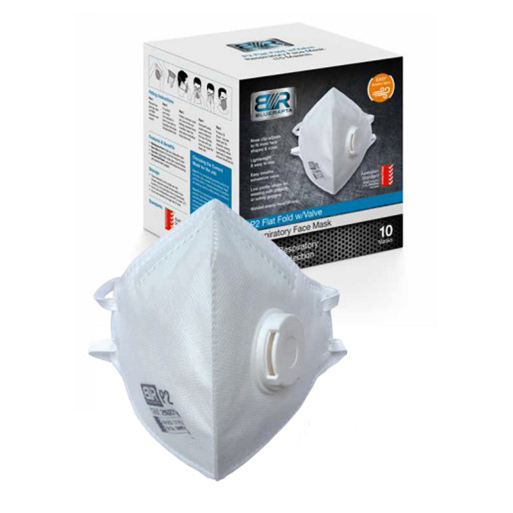 Blue Rapta Disposable P2 Flat Fold Valved Mask (Bx 10) 20027166