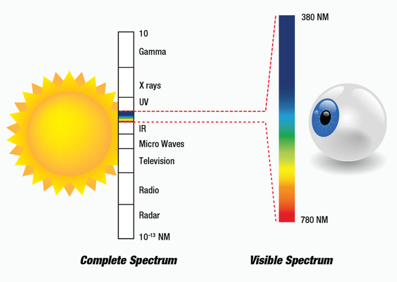 Your Guide to Eye Protection
