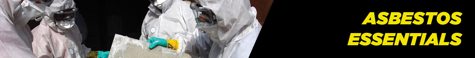 Asbestos Essentials at RSEA Safety Online - The Safety Experts